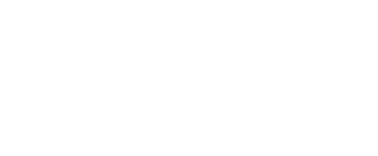 FINAL FANTASY 14 white logo