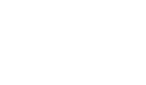 Steam