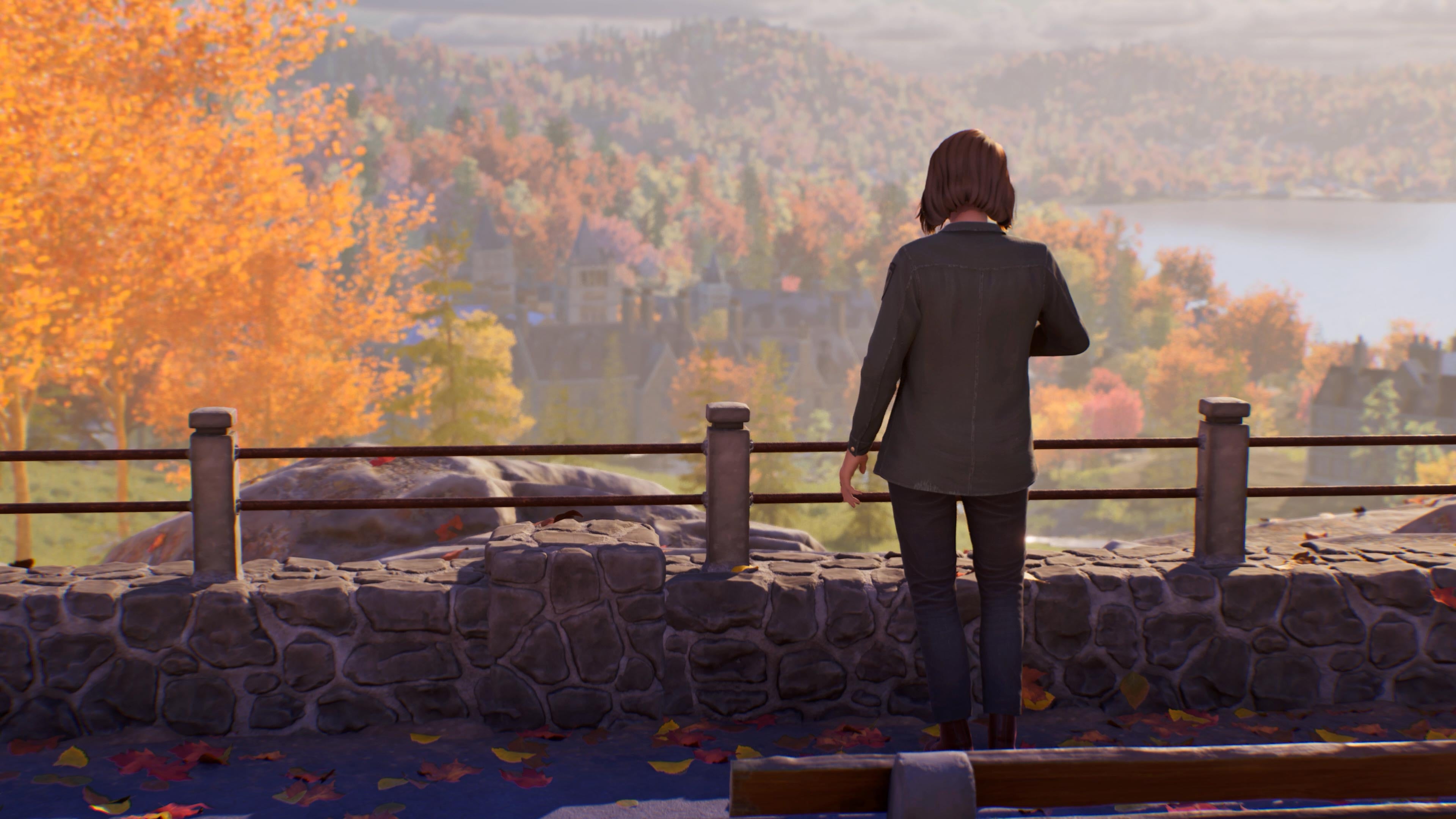 Silhouetted, Max stands at the Overlook, looking down onto rich Fall foliage and Caledon University.